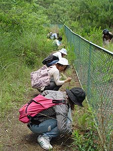 ���ɕ���ŁA�����Ă�H