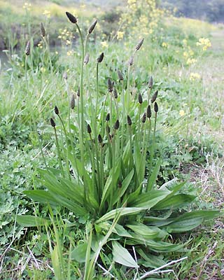 �w���I�I�o�R