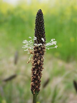 �w���I�I�o�R