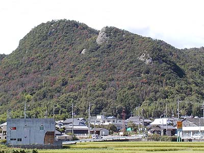 ���R�s�n���̊���