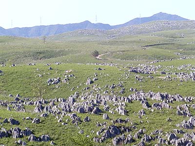 �H�g��̓W�]�䂩��