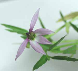 �~�]�K�N�V