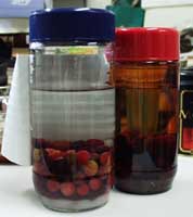 ���}�����i�g�p��j