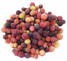 ���}�����i�g�p�O�j