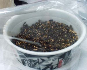 ��܂������I