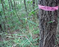 �L�O���ׂ��X�^���h20