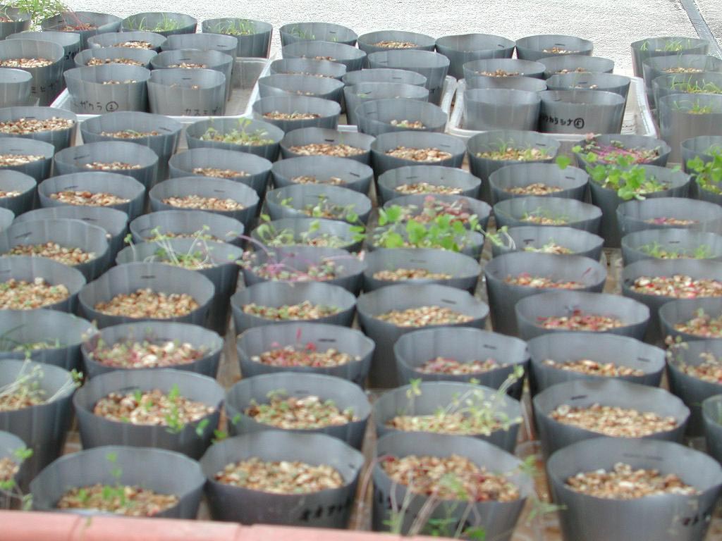 こんな感じです