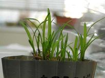 復活!死んでなかったのね・・・、ごめんちょ。